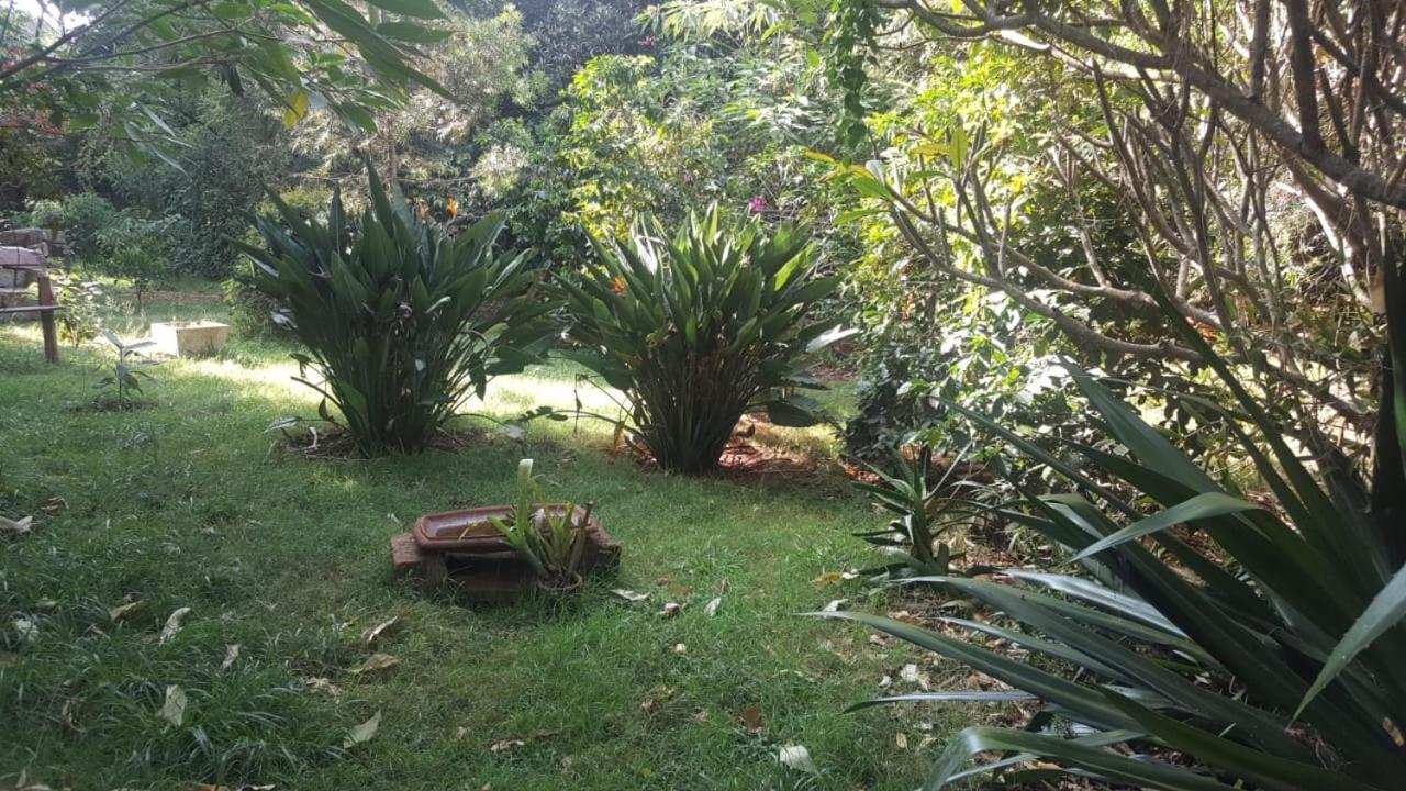 The Cottage-Place Of Grace 2Bdrm And Loft Bed All 4U At Usd58 Nairobi Exterior photo